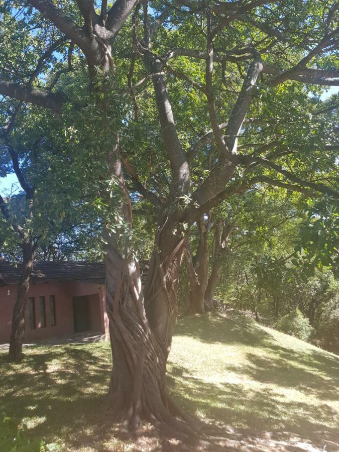 Хостел Nyangombe Backpackers Kwekwe Екстер'єр фото