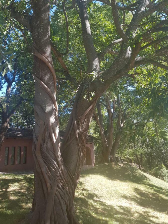 Хостел Nyangombe Backpackers Kwekwe Екстер'єр фото