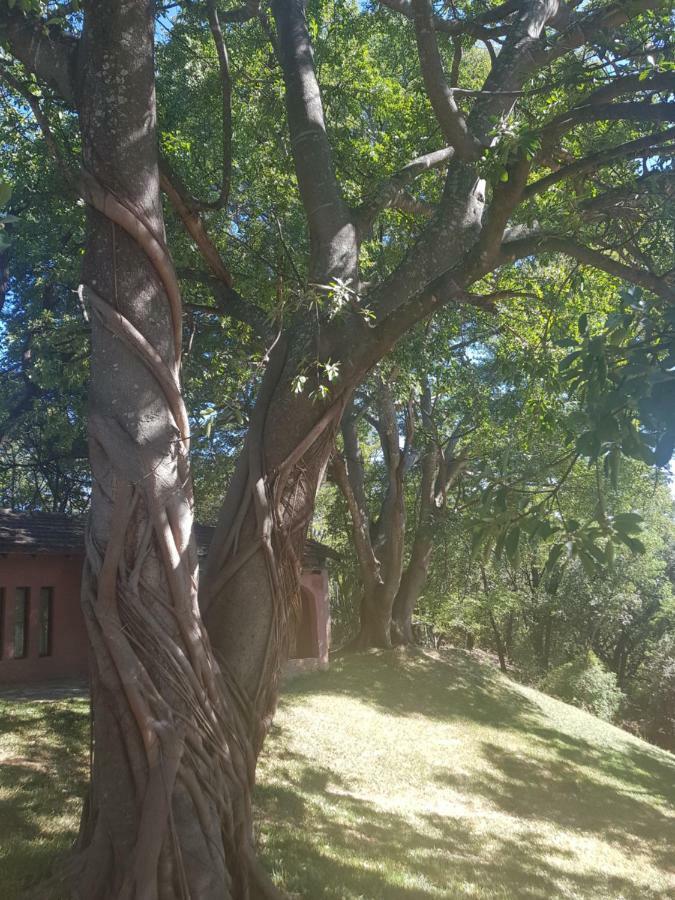Хостел Nyangombe Backpackers Kwekwe Екстер'єр фото
